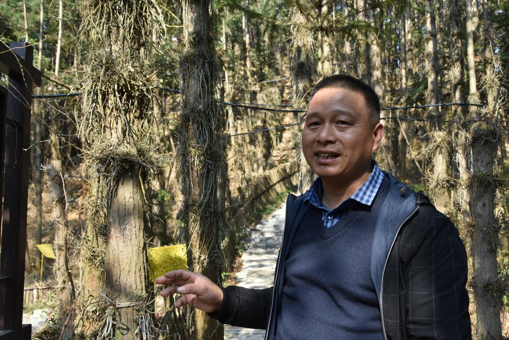 水泥种植物_水泥地如何种植_水泥种植致富方法