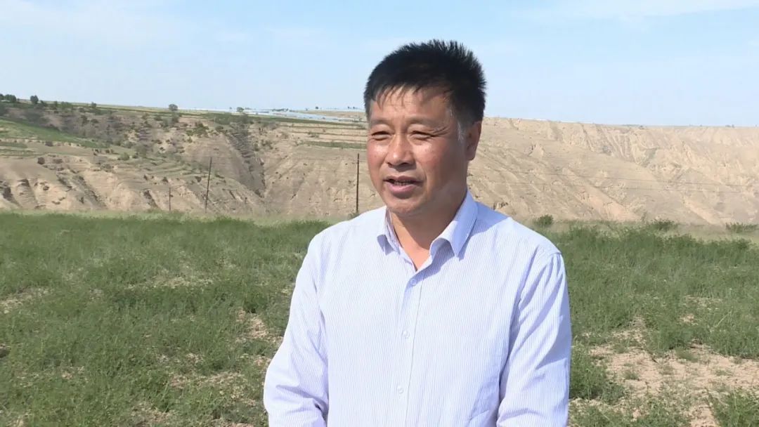 致富经大棚养猪新招赚钱_致富养殖大棚_致富养殖大棚设计图