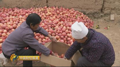 种植首乌技术有哪些_首乌种植技术_种植首乌技术要求