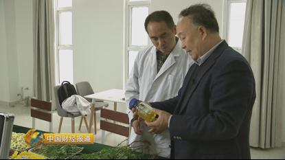 种植首乌技术要求_首乌种植技术_种植首乌技术有哪些