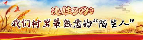 决胜2020丨65座蔬菜大棚 种出脱贫致富新希望