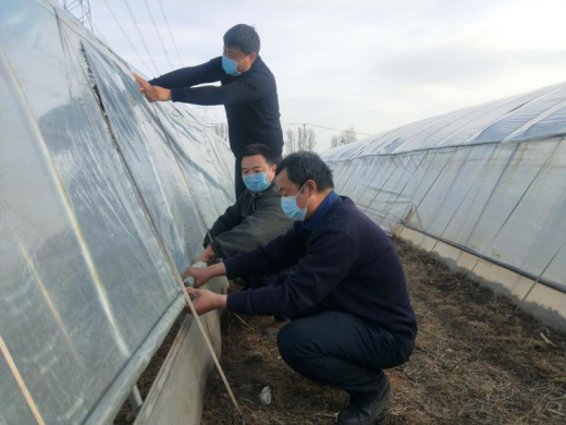 致富养殖大棚_大棚致富项目_致富养殖大棚设计图