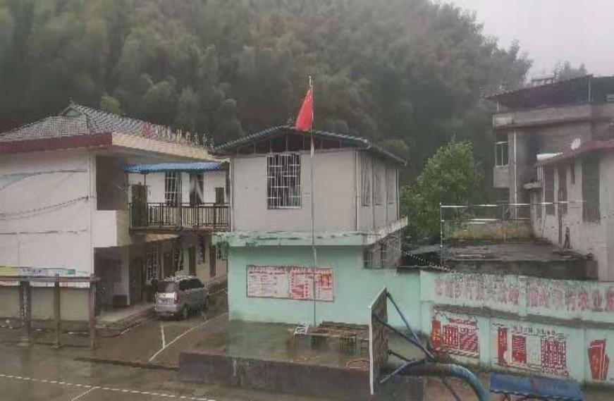 绥宁唐家坊镇：大山里的春笋长成致富林