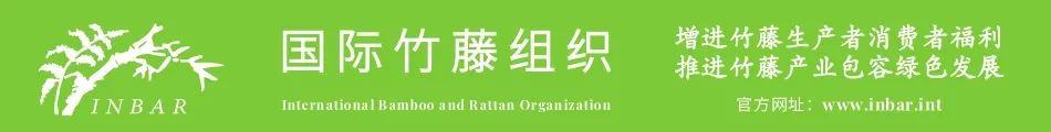 南竹北移 | 新时代山东竹产业创新发展的实践与思考