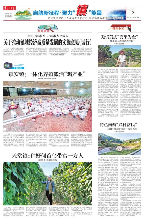 首乌种植视频_种植首乌技术有哪些_首乌种植技术