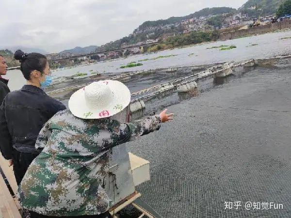 致富种植食用菌有哪些_种植食用菌赚钱吗_致富经食用菌种植