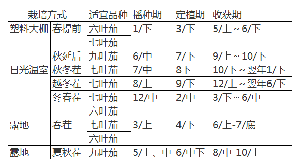 萝卜种植方案_北京胡萝卜种植技术_胡萝卜种植技术视频讲座