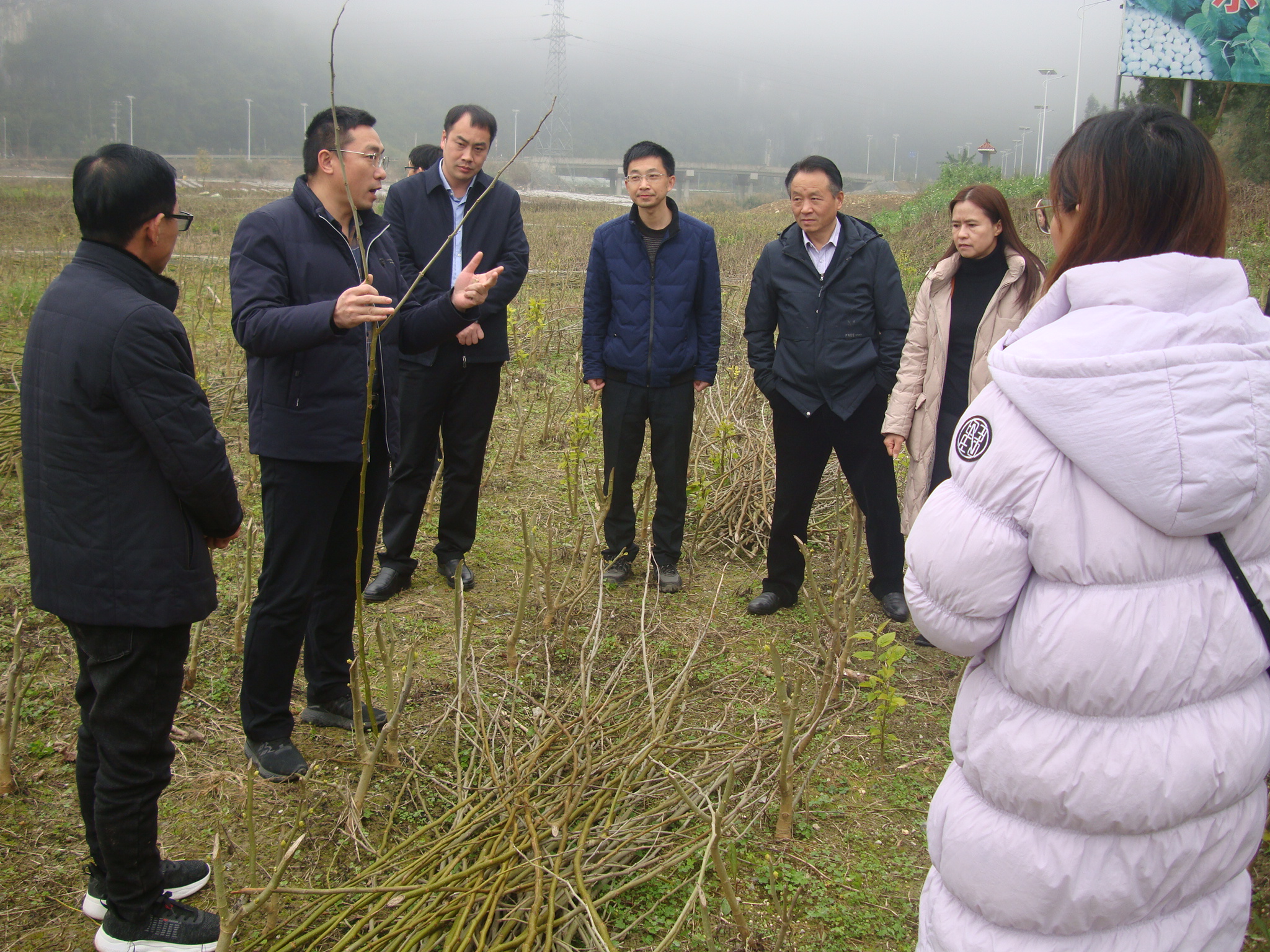 自治区农业农村厅防灾减灾和春季农业服务指导组到河池市开展防灾减灾和春季农业生产指