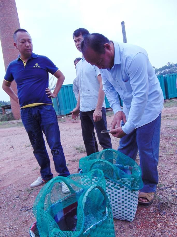 网箱养殖金鲳鱼_网箱养殖的优点_网箱养殖白鲳鱼技术