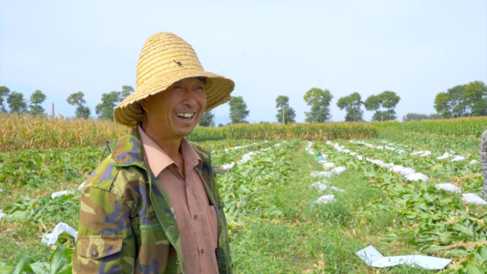 大云种植助力农民增收致富_种植大户带动农民致富_云南农业种植大户补贴政策