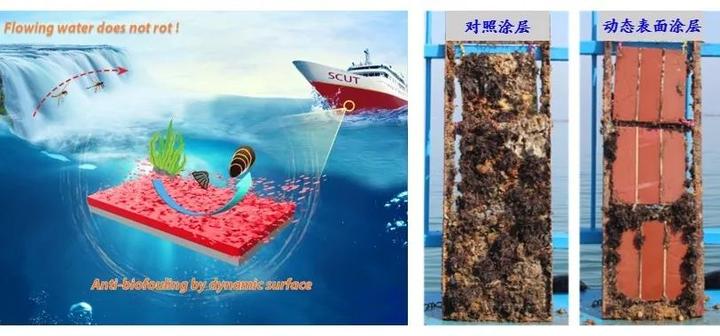 海水养殖网箱技术规程_海水养殖网箱技术要求_海水网箱养殖技术