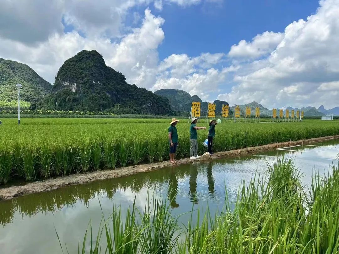 致富养殖鳄龟怎么样_致富养殖鳄龟赚钱吗_鳄龟养殖致富