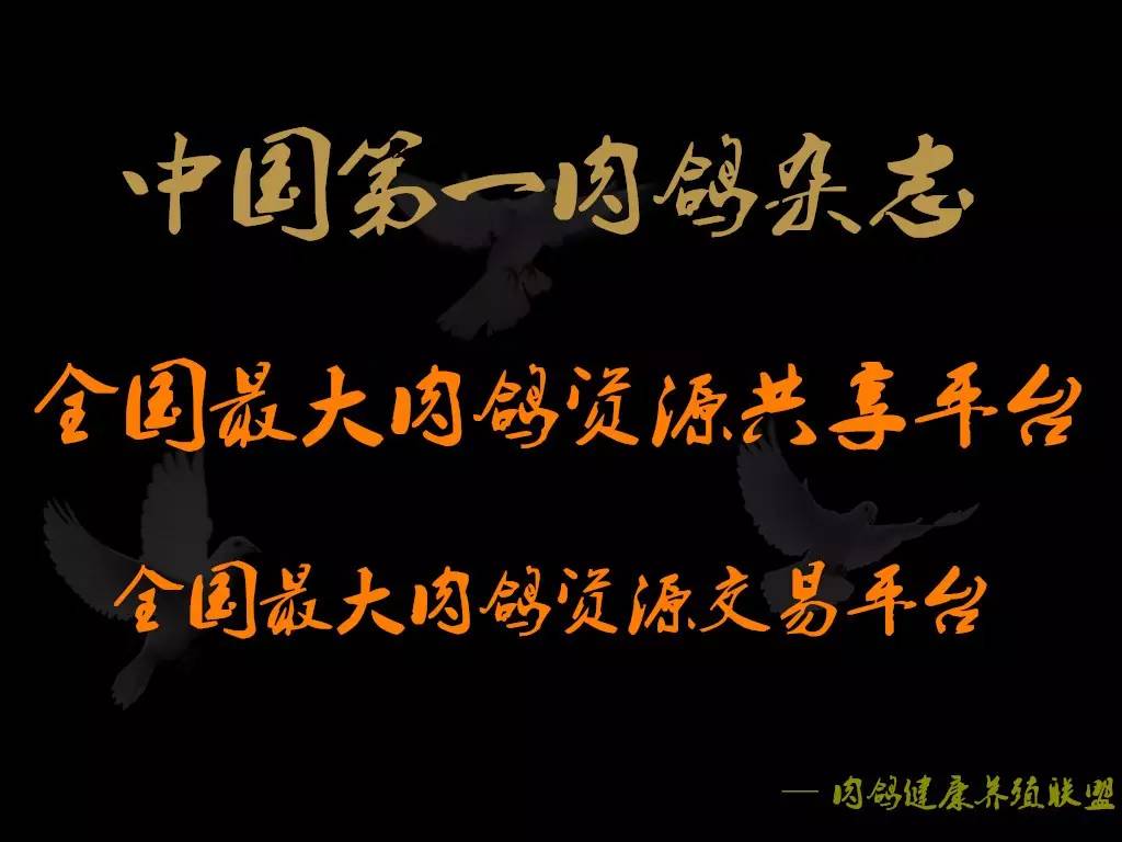 养殖致富创业方向_致富养殖创业方向怎么样_致富养殖创业方向怎么写