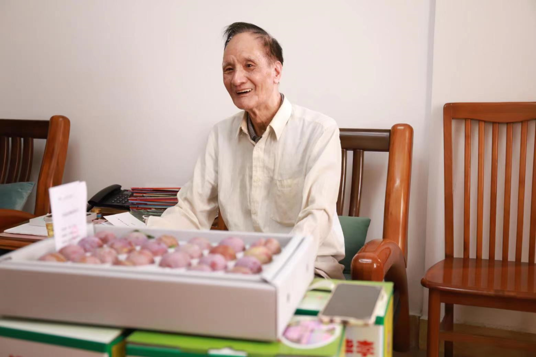 信宜蔬菜种殖基地_信宜种植什么致富_信宜适合种植什么呢