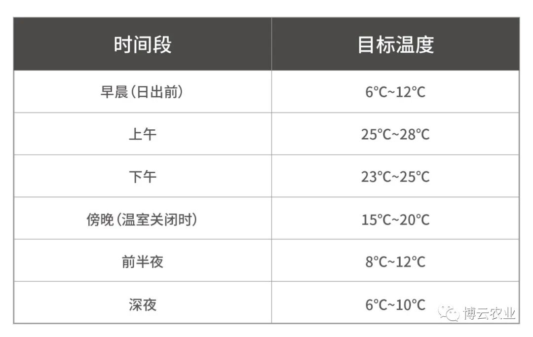 种植青梅管理技术视频_青梅种植技术视频_青梅种植技术与管理