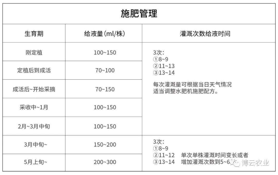 青梅种植技术与管理_青梅种植技术视频_种植青梅管理技术视频