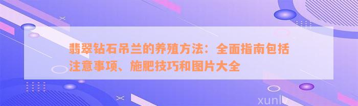 翡翠钻石吊兰的养殖方法：全面指南包括注意事项、施肥技巧和图片大全