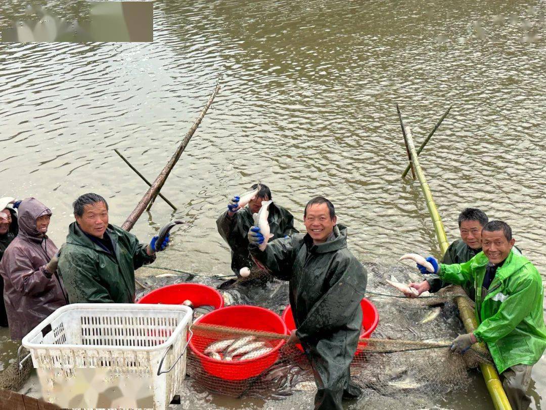 农村致富项目养殖业_养殖基地增收致富_致富养殖业