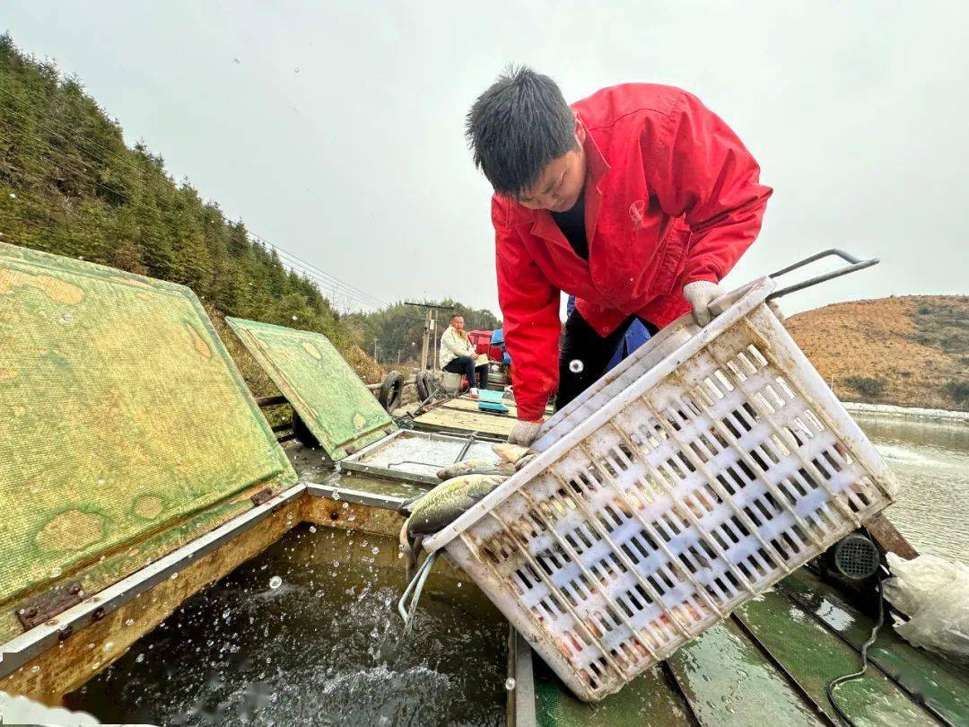 农村致富项目养殖业_致富养殖业_养殖基地增收致富