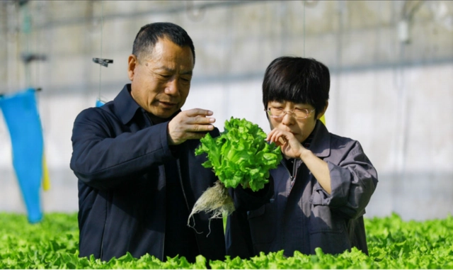 华北致富种植项目怎么样_华北种植致富项目_华北致富种植项目招聘