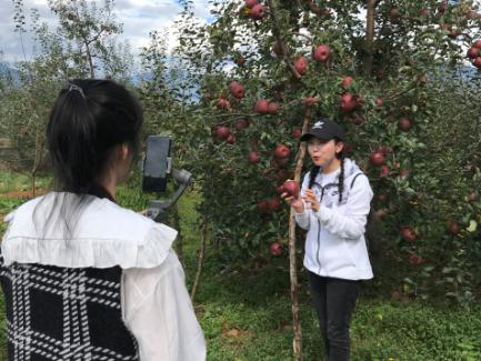 扶贫项目种植水果的可行性_扶贫种果树_扶贫果种植致富