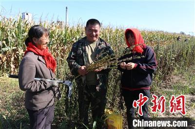 芝麻鱼价格_生鱼黑芝麻养殖技术视频_致富经养殖芝麻鱼