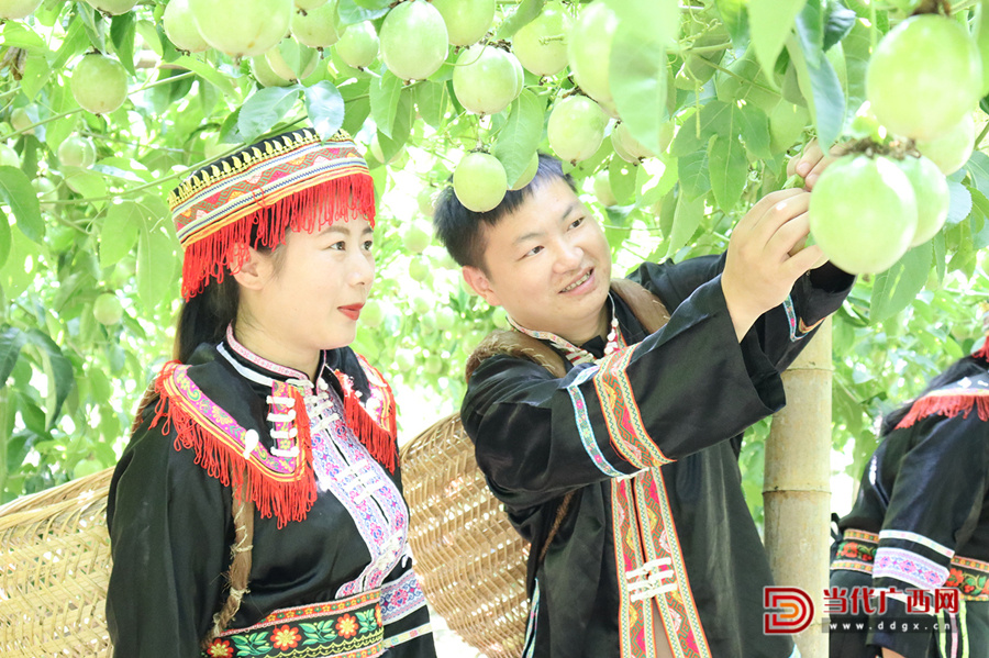 【学习强国】关注报道我校驻资源县河口瑶族乡猴背村第一书记曹庆蹚出乡村产业振兴新路