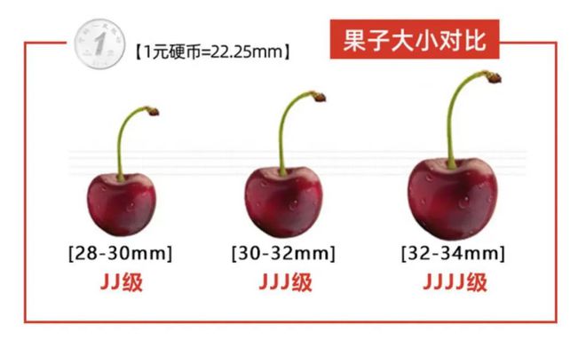 温室种植释迦技术_种植释迦果的注意事项_释迦种植视频