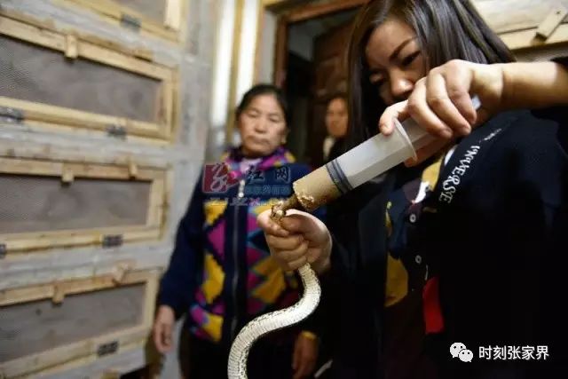 湖南养什么赚钱_湖南女人养殖致富_致富养殖湖南女人视频