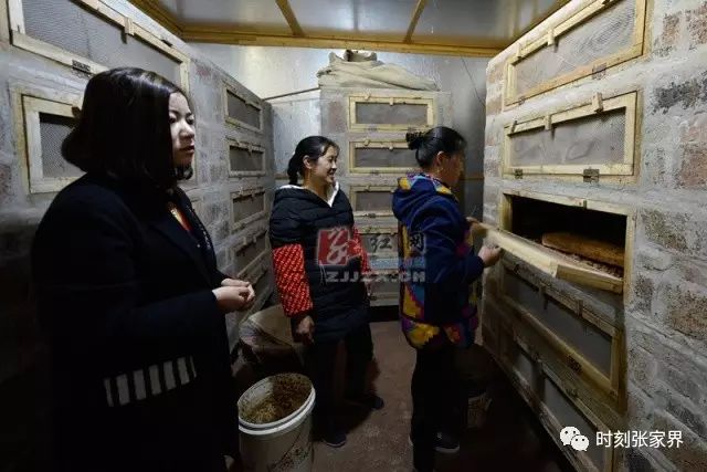 湖南养什么赚钱_致富养殖湖南女人视频_湖南女人养殖致富