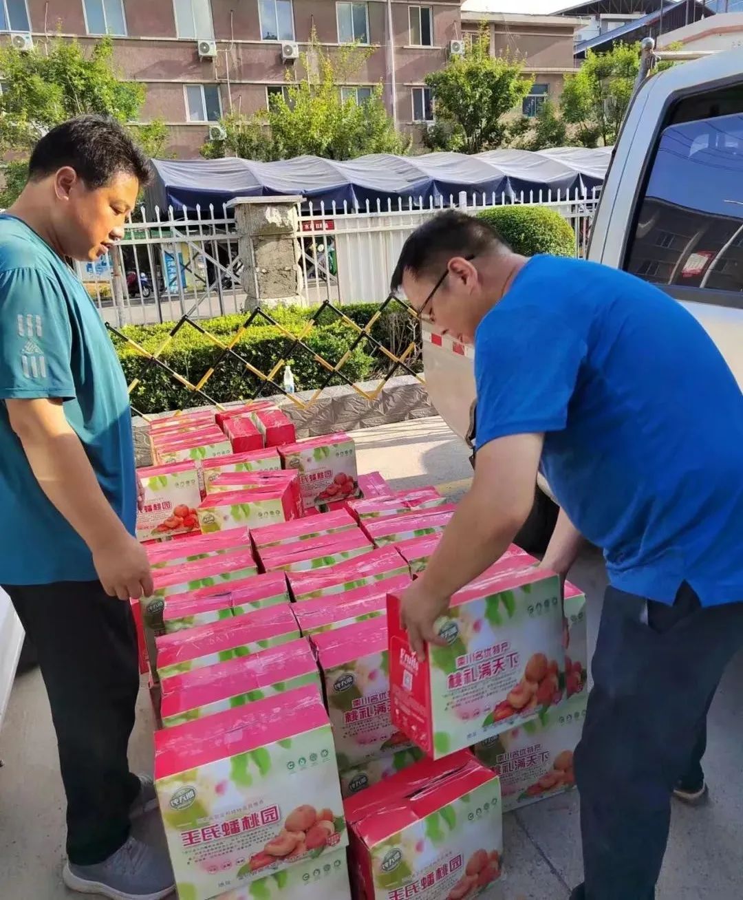 农村养土蜂技术视频_养土蜂致富经_养土蜂前景怎么样