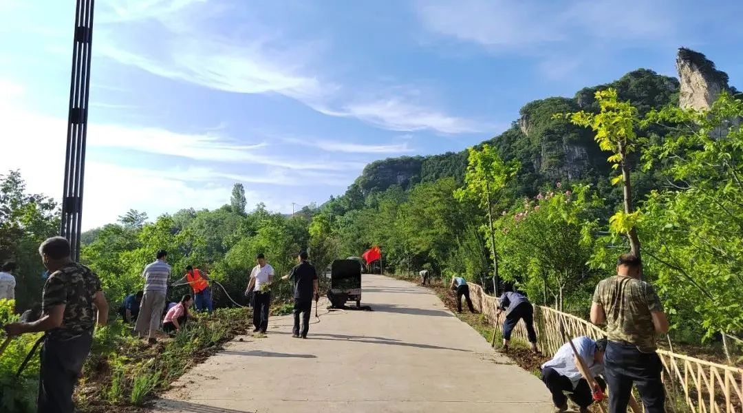 农村养土蜂技术视频_养土蜂前景怎么样_养土蜂致富经