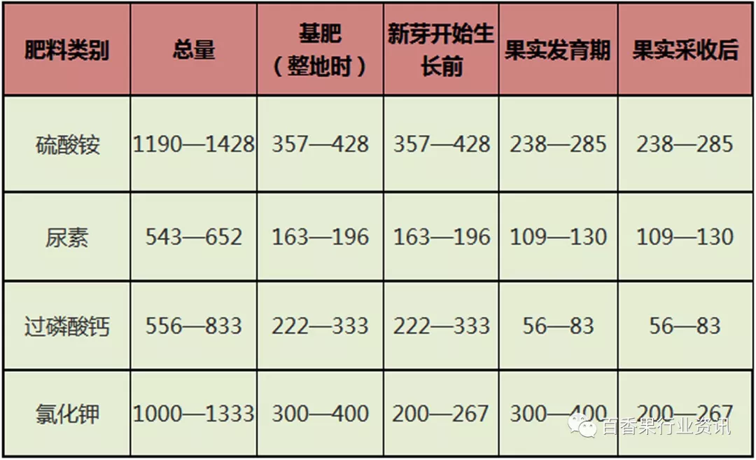 种植香料图片_百香果苗种植技术_香种子怎么种