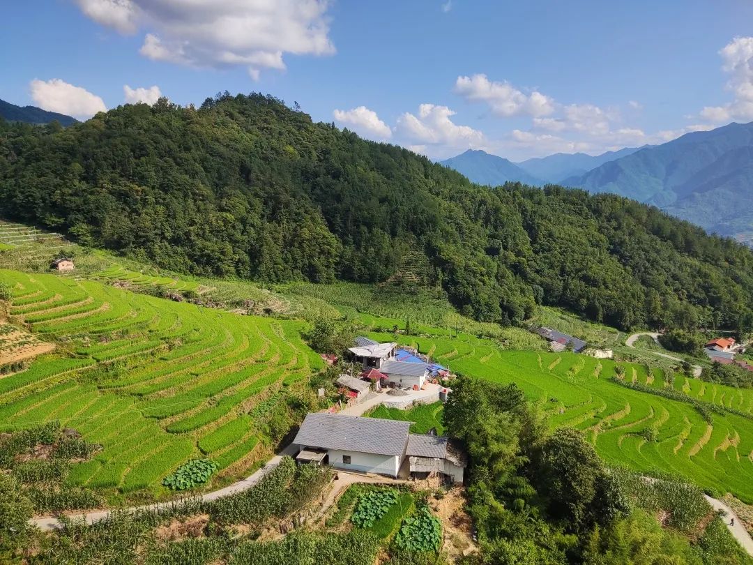 种植致富文案_致富的文案_种植致富案例