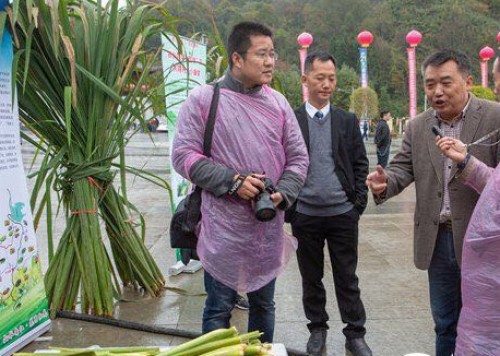 四川种植什么赚钱_四川致富经种植技术_四川种植业