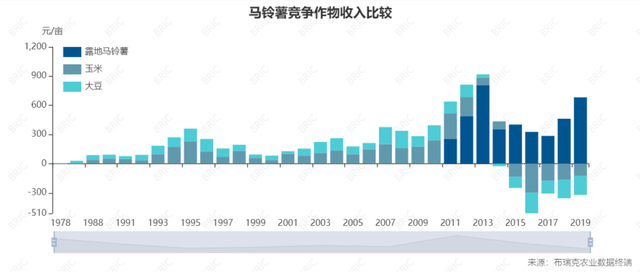 致富马铃薯项目怎么样_马铃薯项目骗局_致富经-马铃薯项目