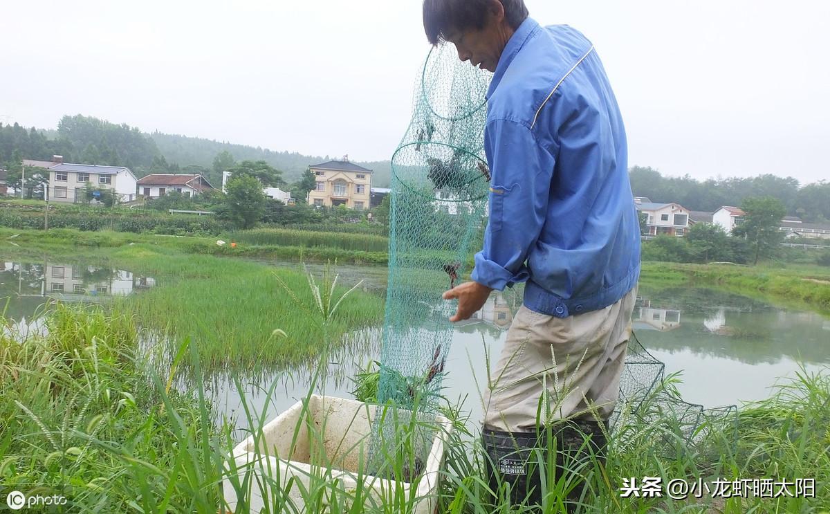 浮游动物养殖技术_养殖动物浮游技术规范_养殖动物浮游技术要求