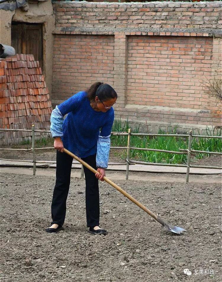 种植的黄芪药效怎么样_黄芪种植收益_致富经里种植黄芪致富的人