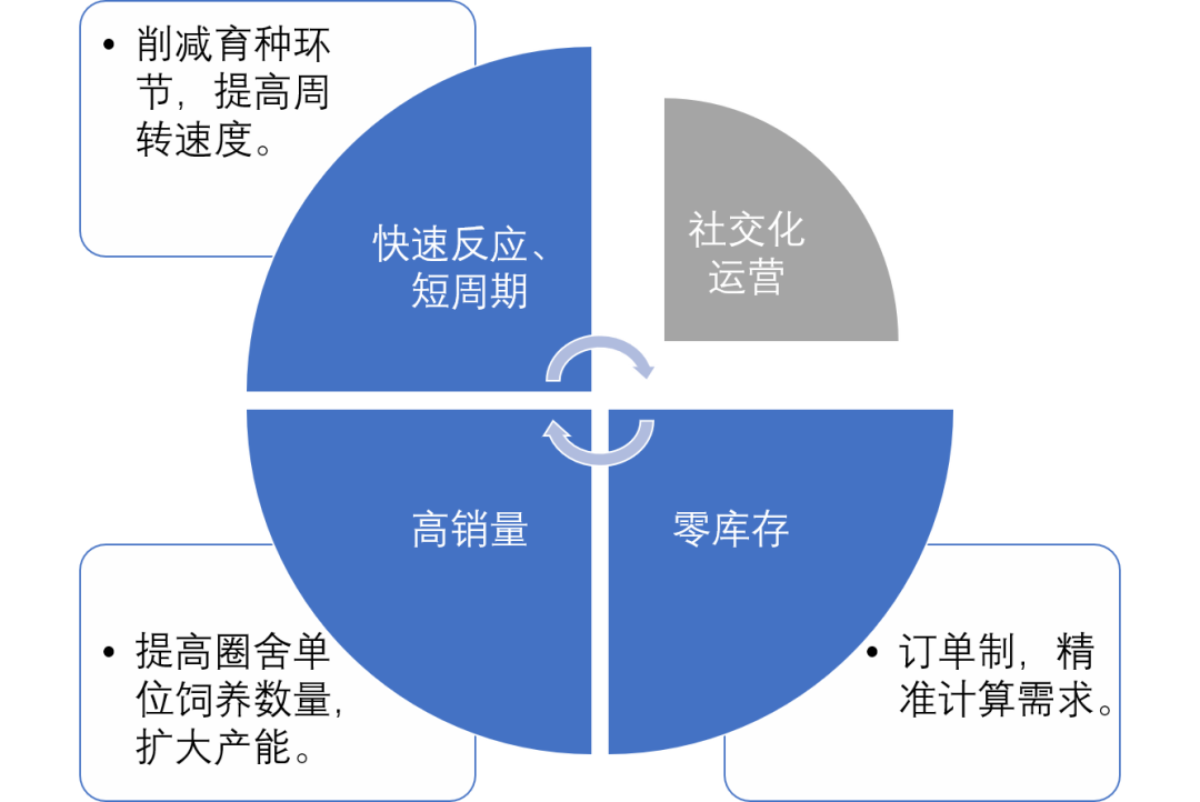 湖羊养殖技术大全_湖羊养殖技术要点视频_湖羊养殖技术指导