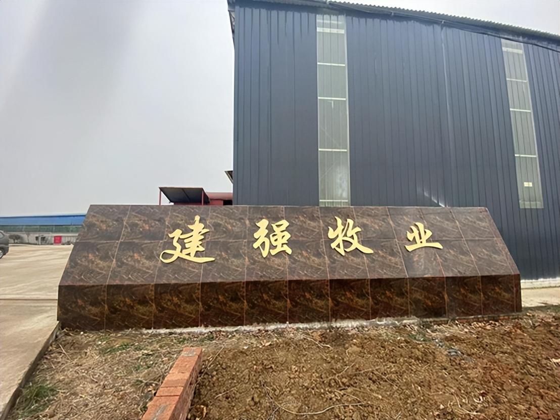 湖羊养殖技术大全_湖羊养殖技术指导_湖羊养殖技术要点视频