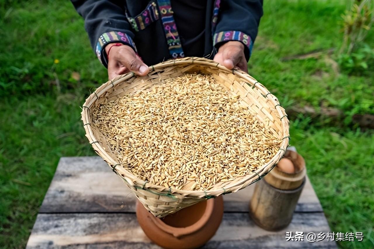 老挝种植致富项目_老挝种植什么赚钱_致富种植老挝项目介绍