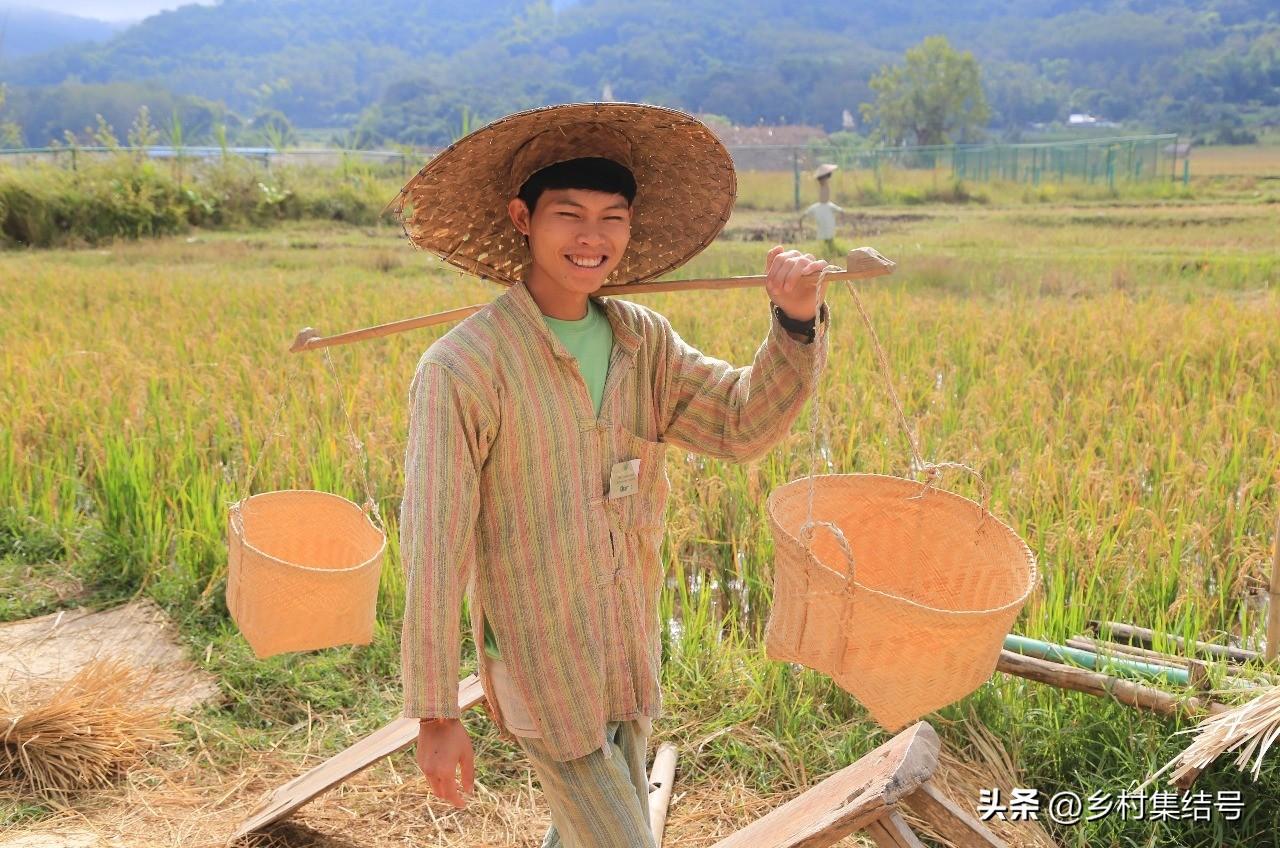 老挝种植什么赚钱_老挝种植致富项目_致富种植老挝项目介绍