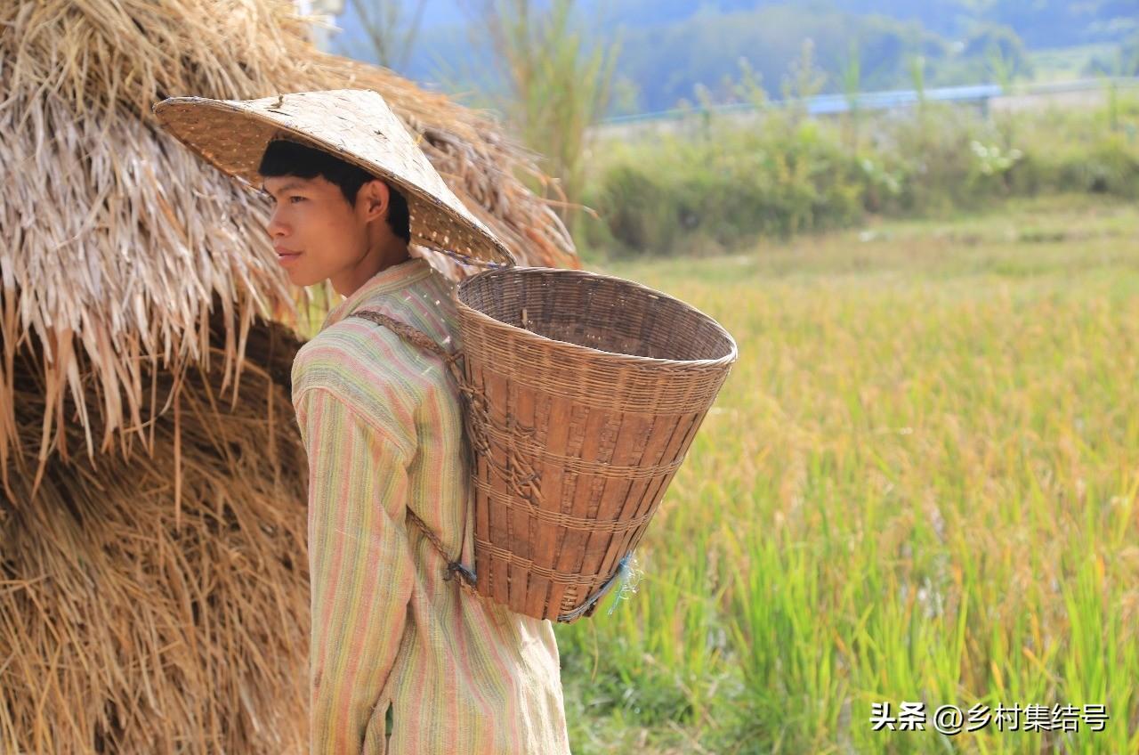 致富种植老挝项目介绍_老挝种植致富项目_老挝种植什么赚钱