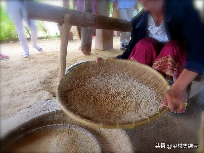 致富种植老挝项目介绍_老挝种植什么赚钱_老挝种植致富项目