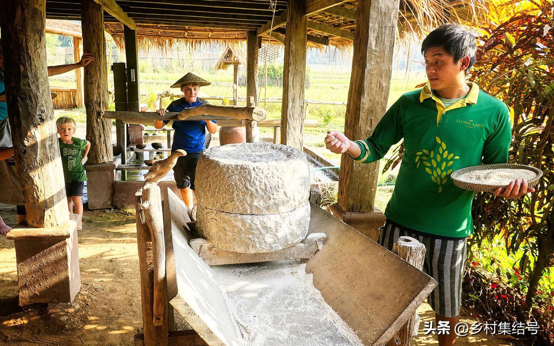 老挝种植致富项目_老挝种植什么赚钱_致富种植老挝项目介绍