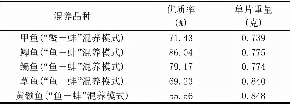 养殖甲鱼致富项目_致富养殖甲鱼项目介绍_养殖甲鱼挣钱吗