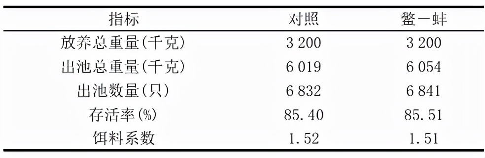 养殖甲鱼致富项目_养殖甲鱼挣钱吗_致富养殖甲鱼项目介绍