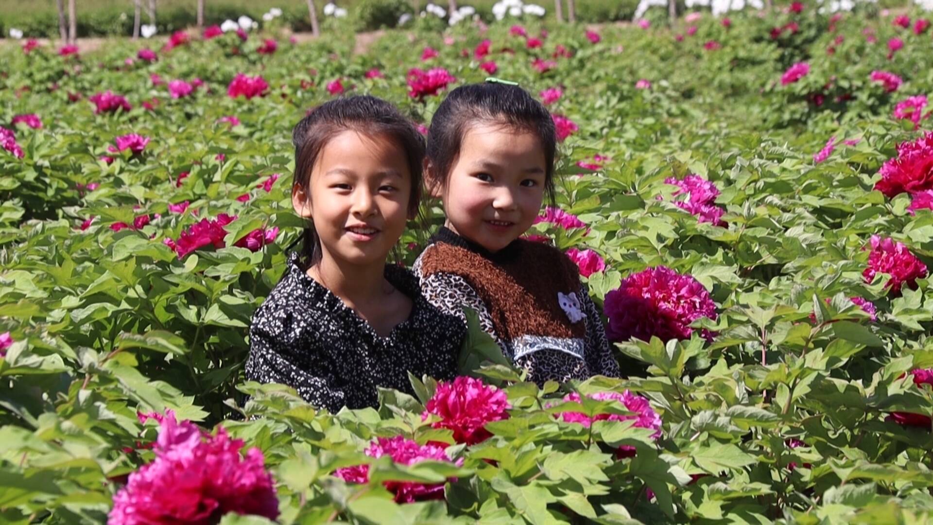 茌平区：花卉“开”出致富路