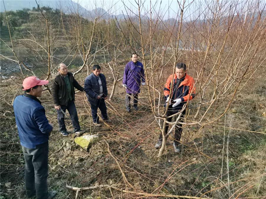 太湖县扶贫_太湖县致富经_安徽省安庆市太湖县扶贫网站