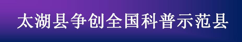 太湖县致富经_安徽省安庆市太湖县扶贫网站_太湖县扶贫